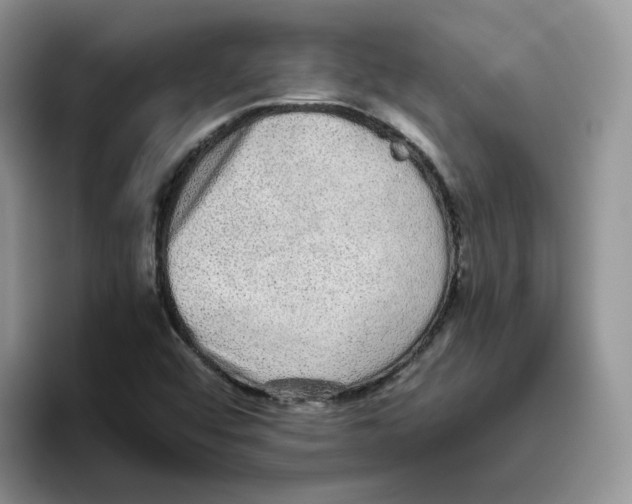 X0000093531456200711091749