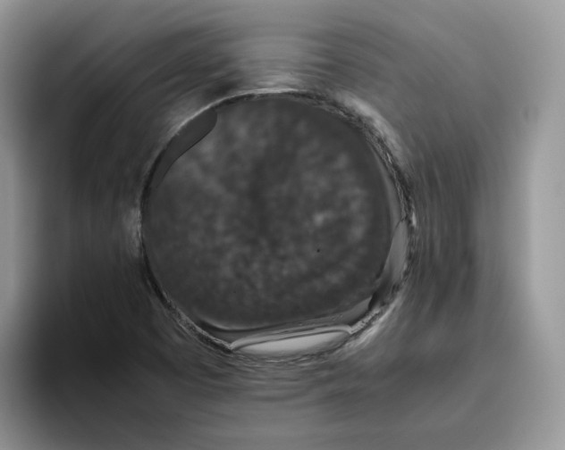 X0000093531457200711091749