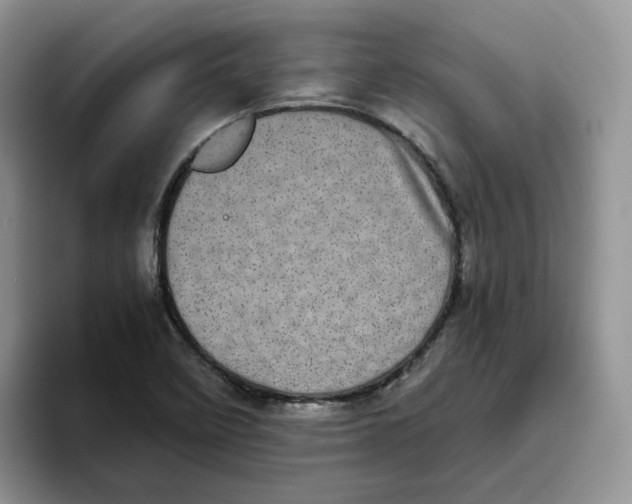 X0000093531458200711091749