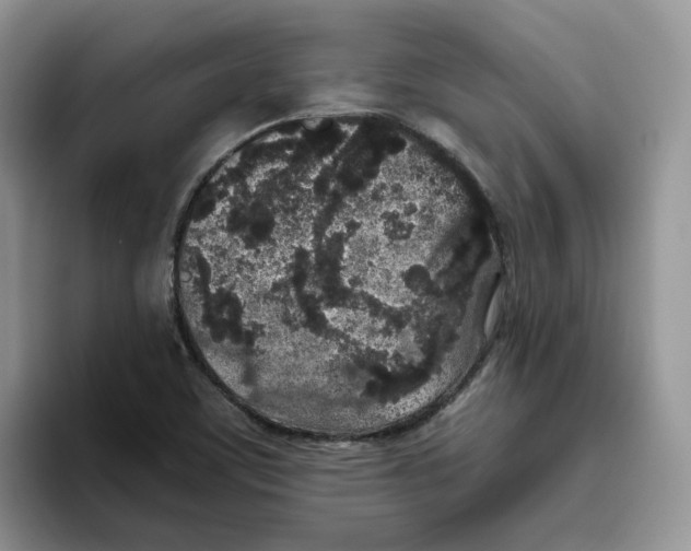 X0000093531459200711091749