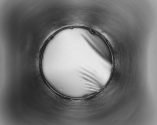 X0000093531460200711091749