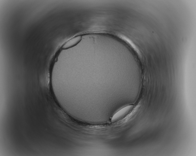 X0000093531461200711091749