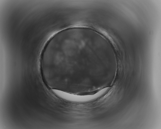 X0000093531463200711091749