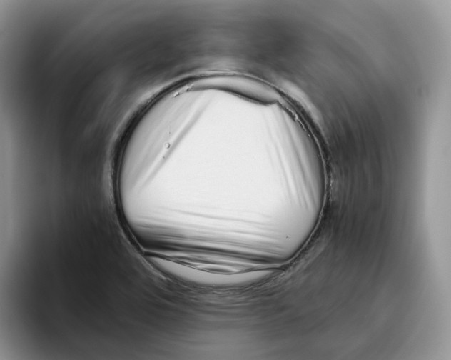 X0000093531464200711091749