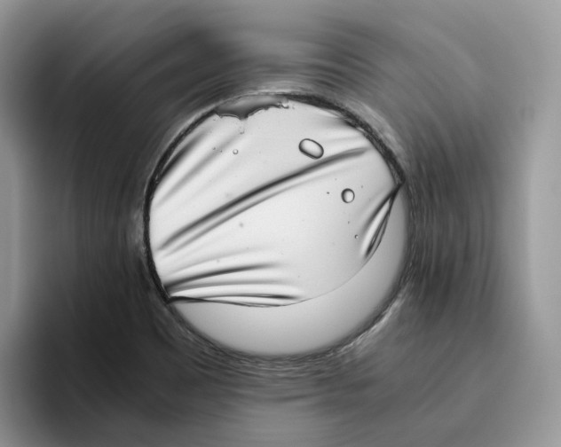 X0000093531465200711091749