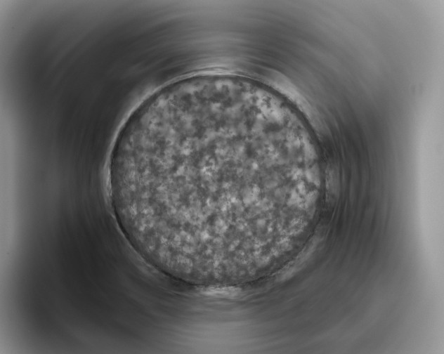 X0000093531466200711091749