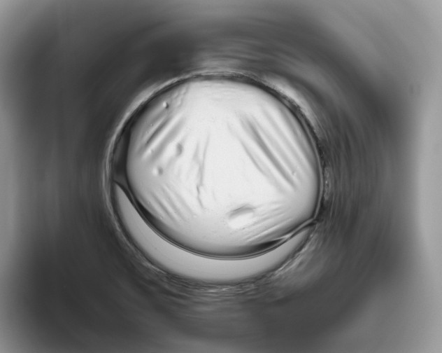 X0000093531467200711091749