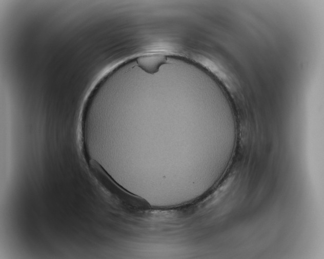 X0000093531469200711091749