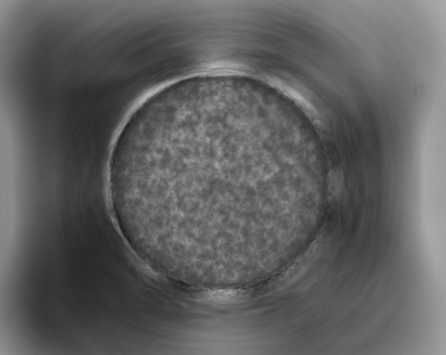 X0000093531470200711091749