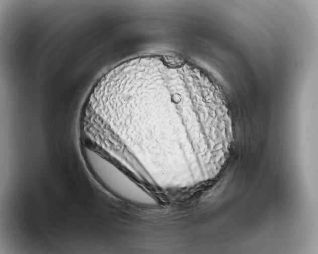 X0000093531471200711091749