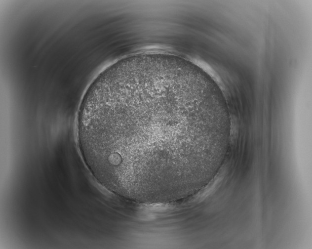 X0000093531474200711091749