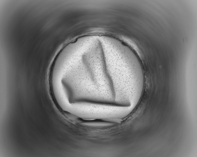 X0000093531475200711091749