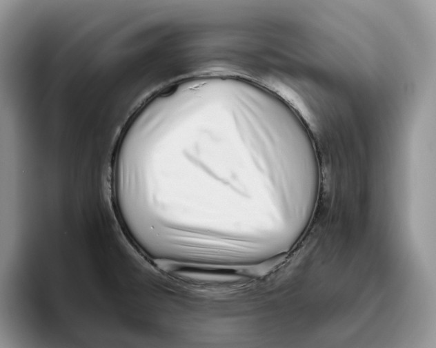 X0000093531476200711091749