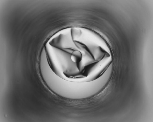 X0000093531477200711091749