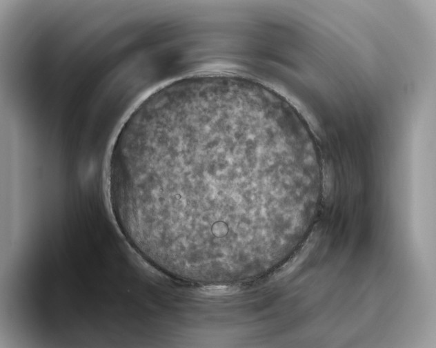 X0000093531478200711091749