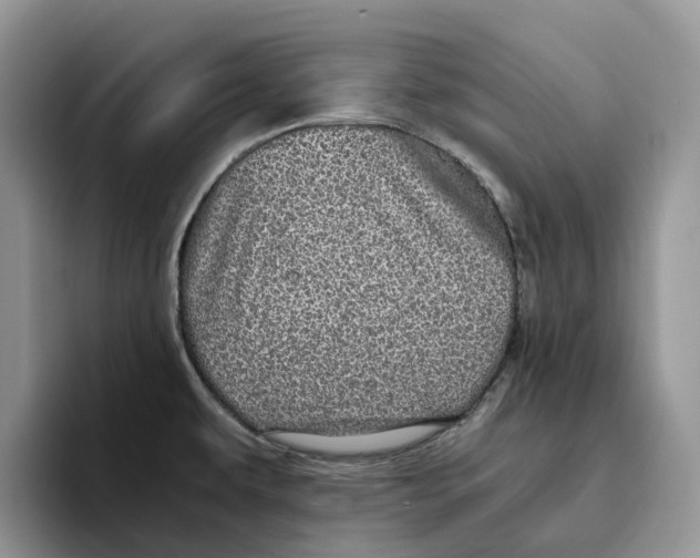 X0000093531479200711091749