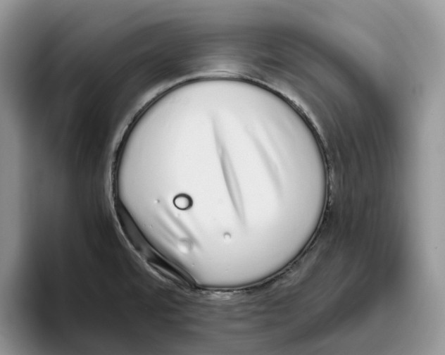 X0000093531480200711091749