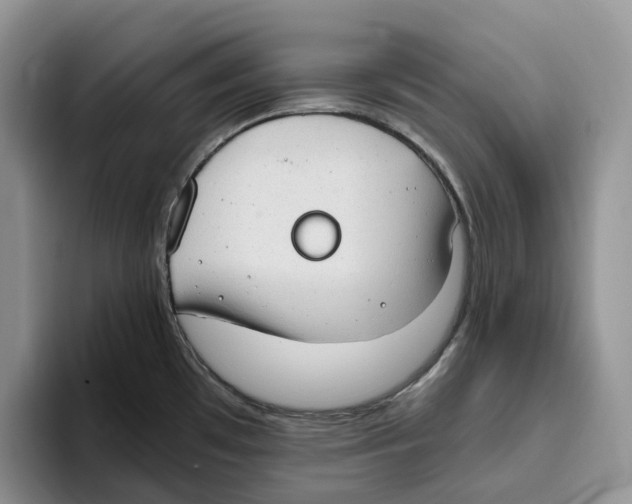 X0000093531481200711091749