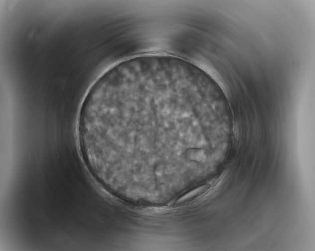 X0000093531482200711091749