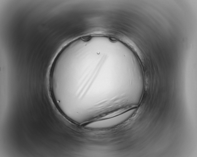 X0000093531483200711091749