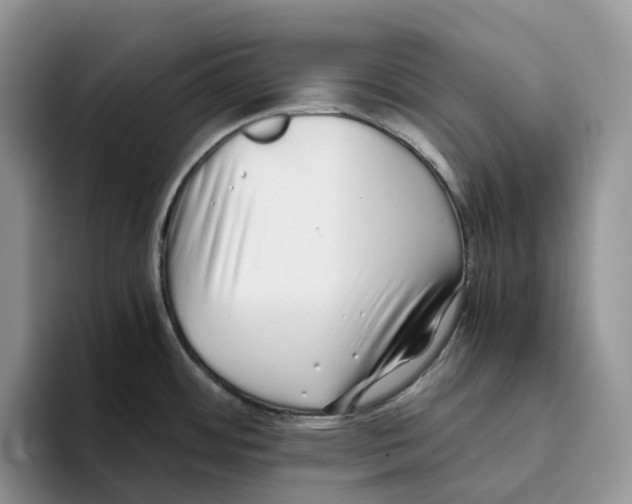 X0000093531484200711091749