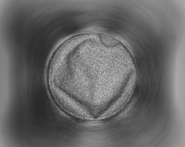 X0000093531486200711091749