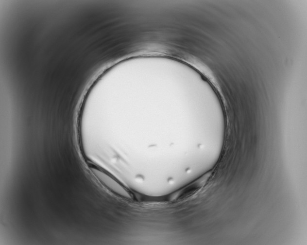 X0000093531488200711091749