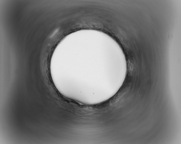 X0000093531489200711091748