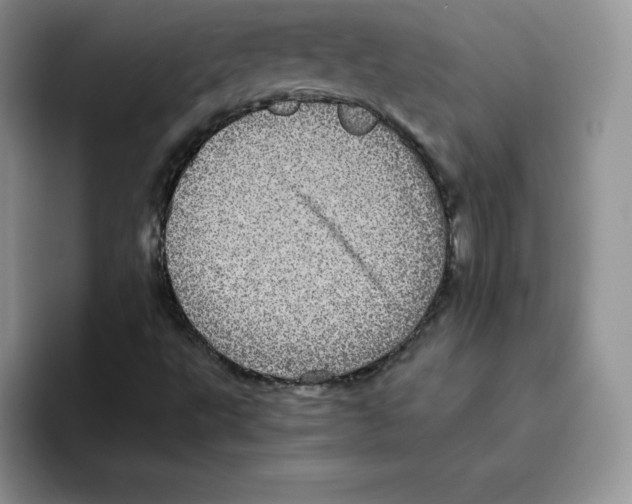 X0000093531495200711091748