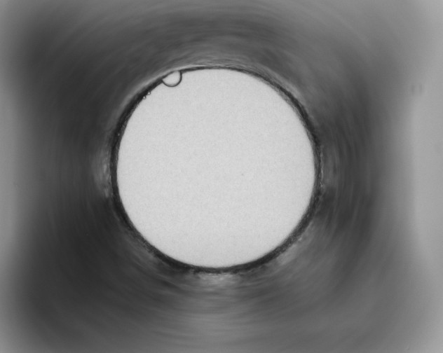 X0000093531498200711091748