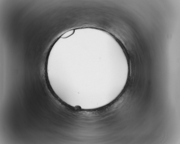 X0000093531500200711091748