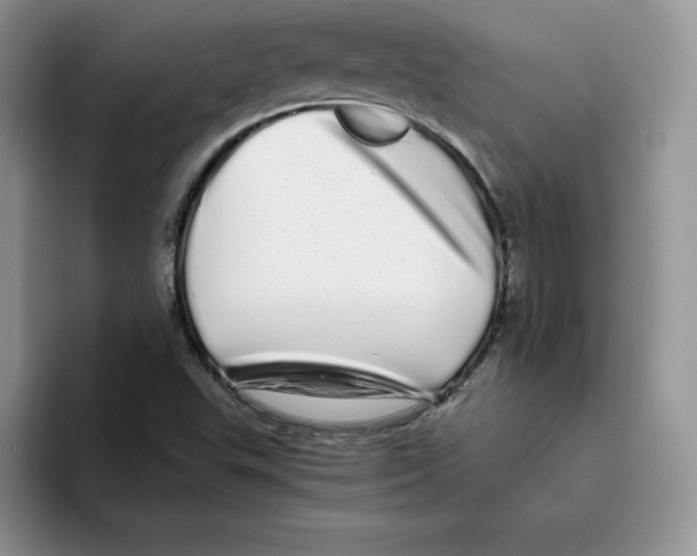 X0000093531503200711091748