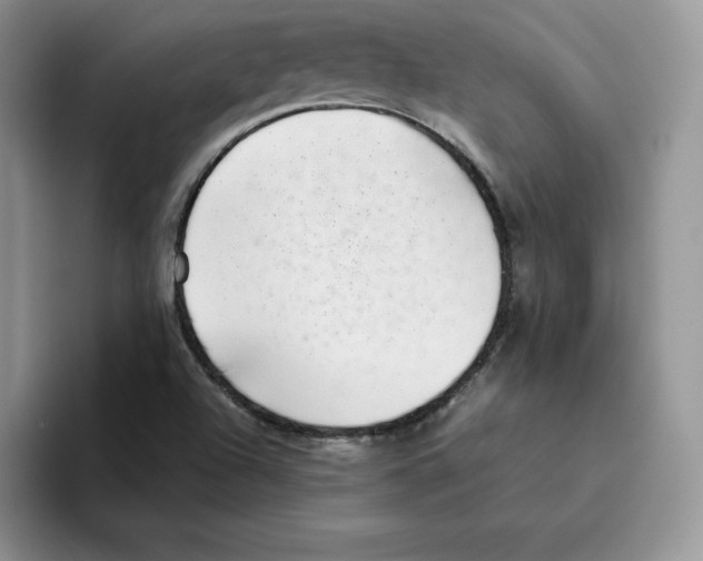 X0000093531504200711091748