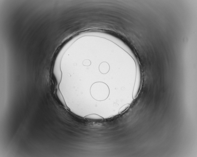 X0000093531505200711091748