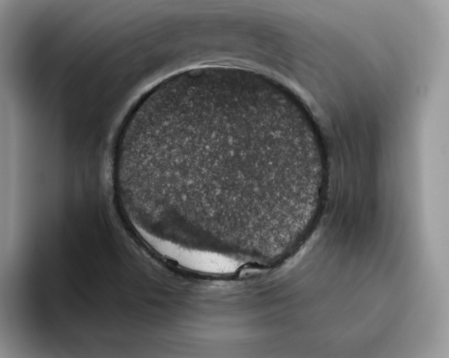 X0000093531506200711091748