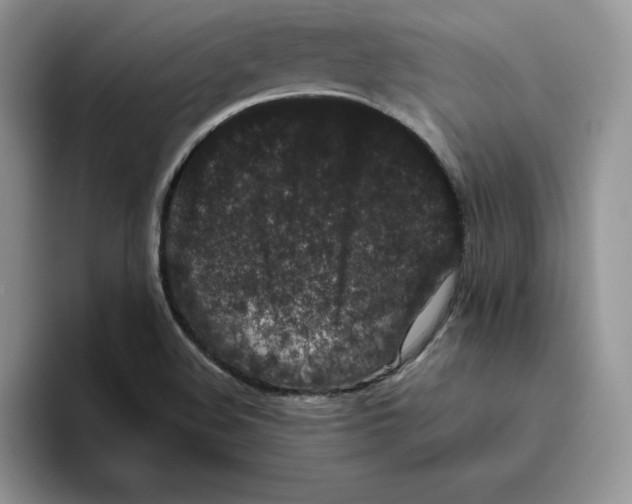 X0000093531508200711091748