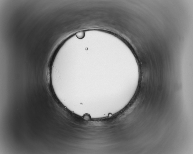 X0000093531509200711091748