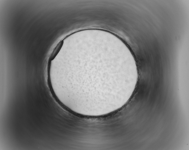 X0000093531512200711091748