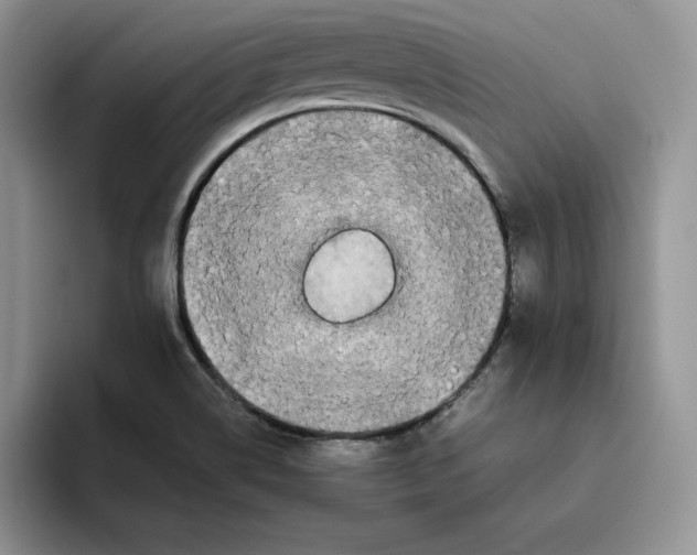 X0000093531514200711091748