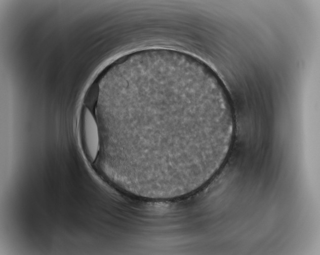 X0000093531515200711091748