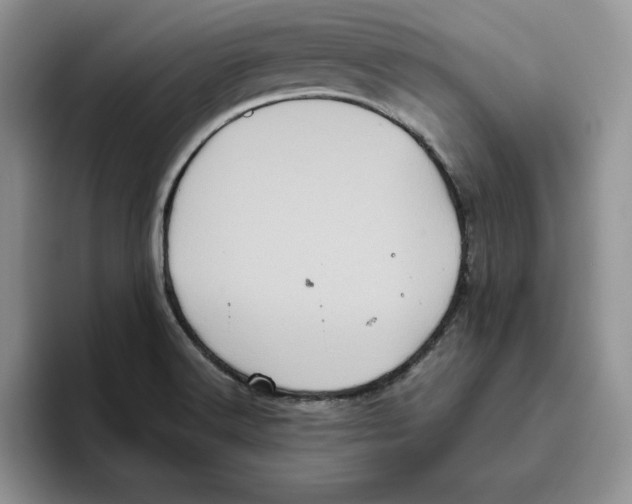 X0000093531516200711091748