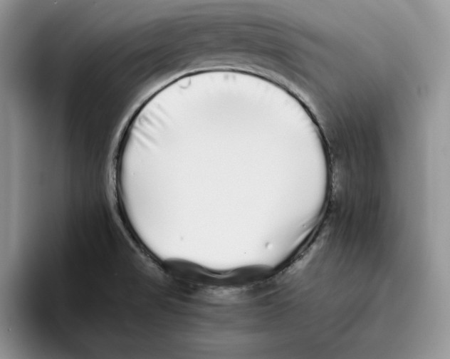 X0000093531517200711091748