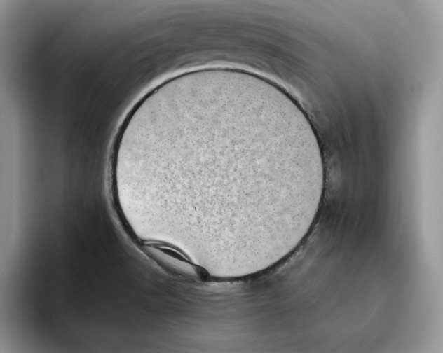 X0000093531518200711091748