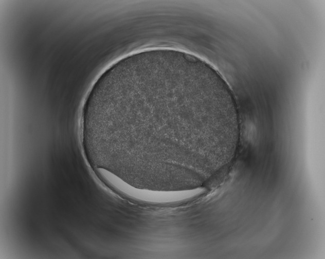 X0000093531519200711091748