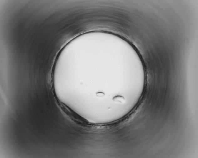 X0000093531521200711091748