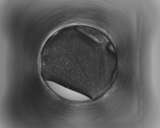 X0000093531522200711091748