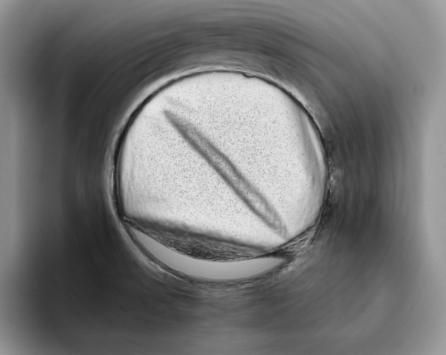 X0000093531523200711091748