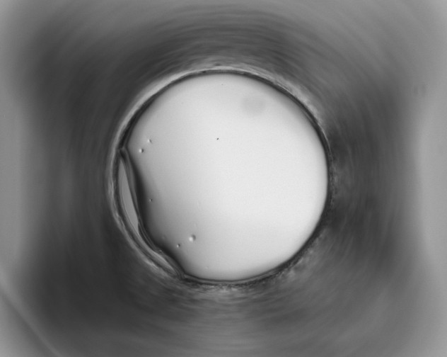 X0000093531525200711091749