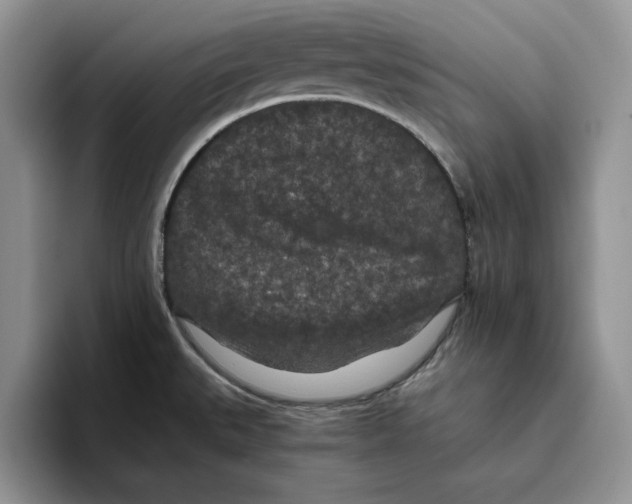 X0000093531527200711091749