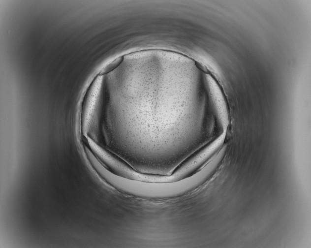 X0000093531528200711091749